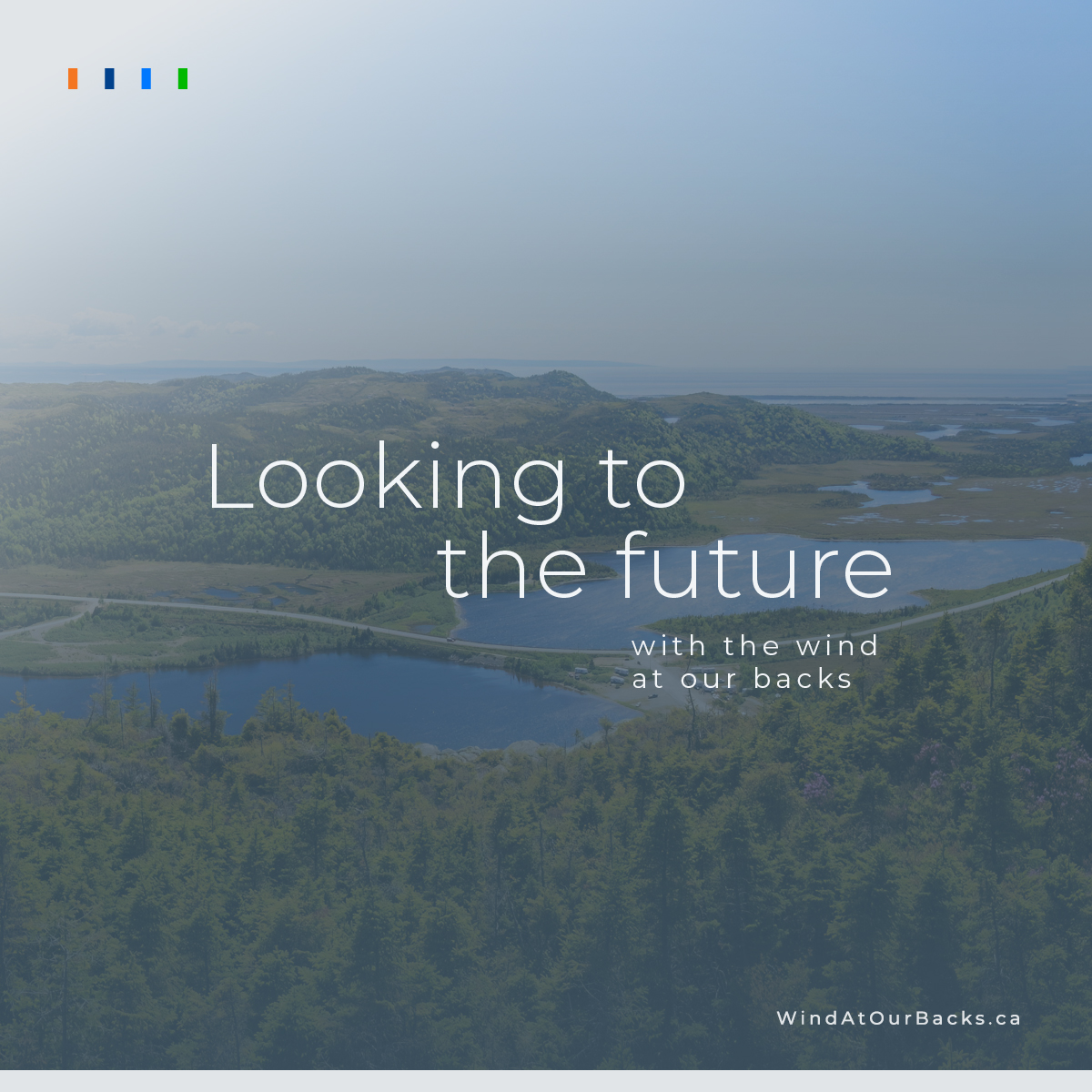 Looking to the future